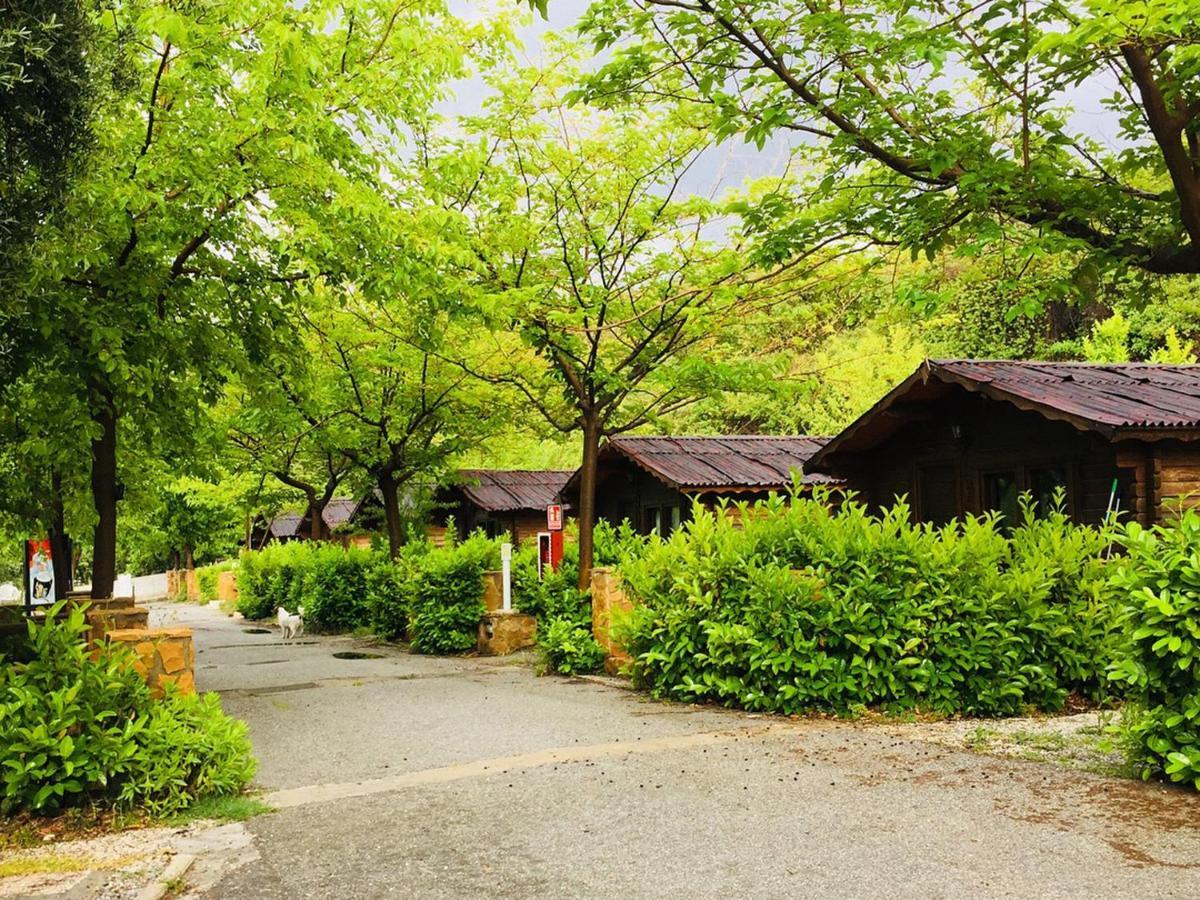 Fuente Del Lobo Glamping & Bungalows - Adults Only بينوس جينيل المظهر الخارجي الصورة