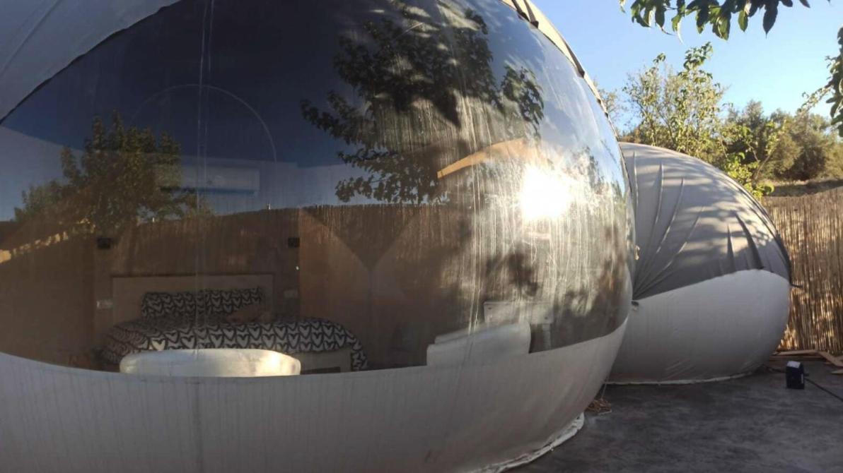 Fuente Del Lobo Glamping & Bungalows - Adults Only بينوس جينيل المظهر الخارجي الصورة