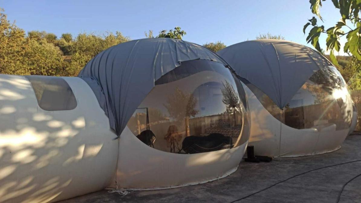 Fuente Del Lobo Glamping & Bungalows - Adults Only بينوس جينيل المظهر الخارجي الصورة